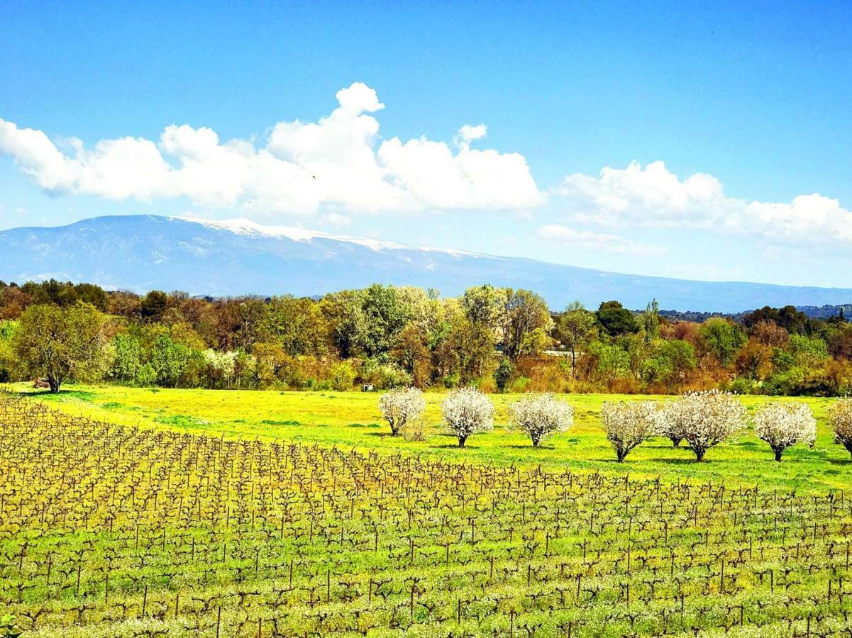 Domaine De La Brave Panzió Pernes-les-Fontaines Kültér fotó